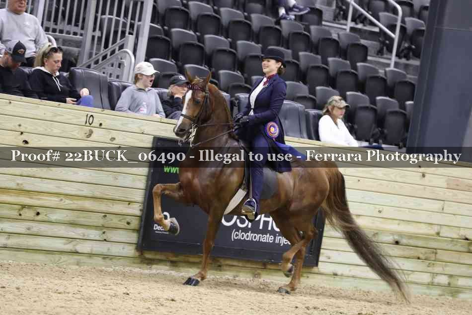 Proof 22BUCK_06490