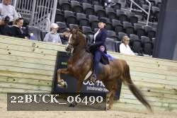 22BUCK_06490 proof