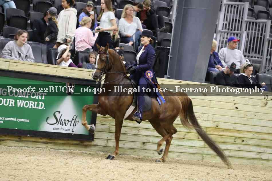 Proof 22BUCK_06491