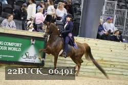 22BUCK_06491 proof