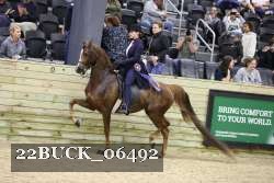 22BUCK_06492 proof