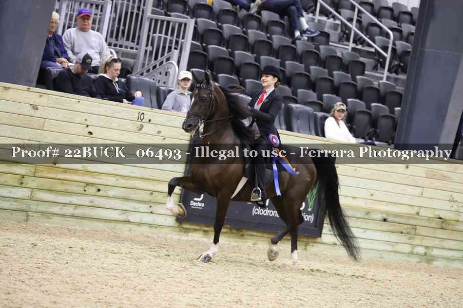 Proof 22BUCK_06493