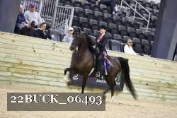 22BUCK_06493 proof