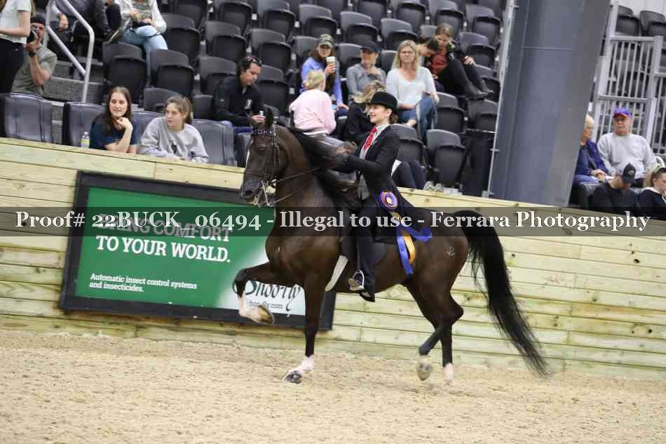 Proof 22BUCK_06494