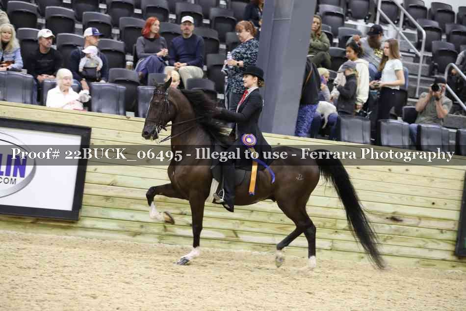 Proof 22BUCK_06495