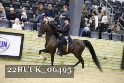 22BUCK_06495 proof