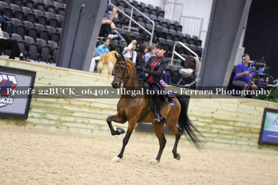 Proof 22BUCK_06496