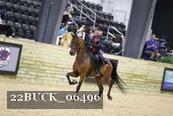 22BUCK_06496 proof