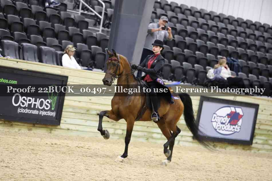 Proof 22BUCK_06497