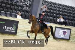 22BUCK_06497 proof