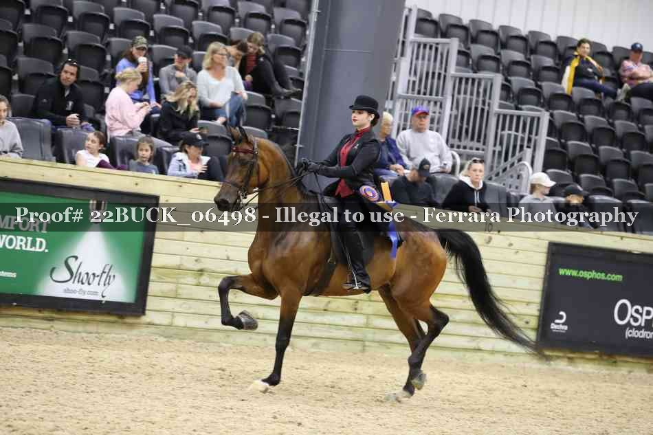 Proof 22BUCK_06498