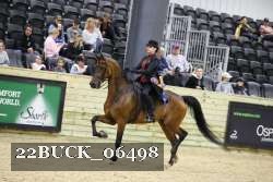 22BUCK_06498 proof