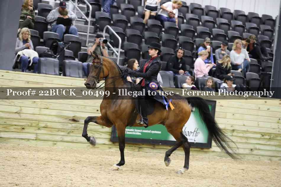 Proof 22BUCK_06499