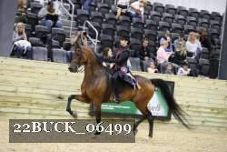 22BUCK_06499 proof