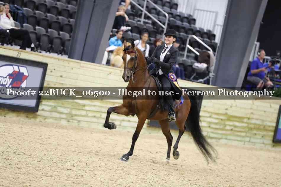 Proof 22BUCK_06500