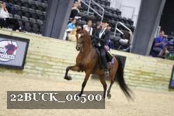 22BUCK_06500 proof