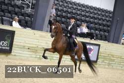 22BUCK_06501 proof