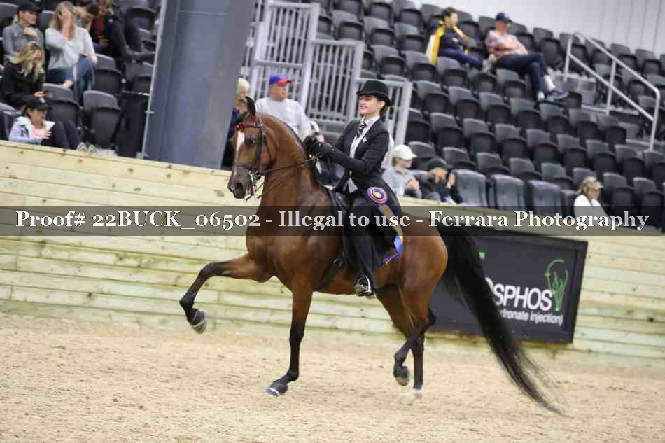 Proof 22BUCK_06502