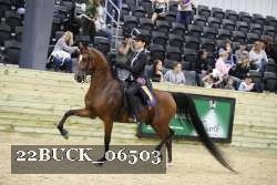 22BUCK_06503 proof