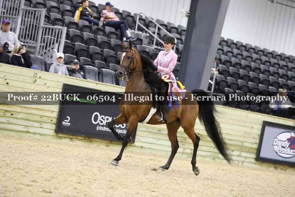 Proof 22BUCK_06504