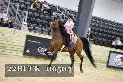 22BUCK_06504 proof