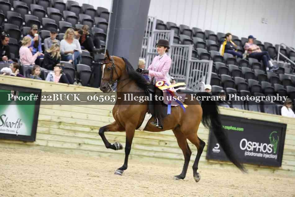 Proof 22BUCK_06505