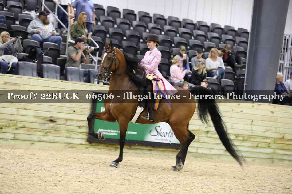 Proof 22BUCK_06506