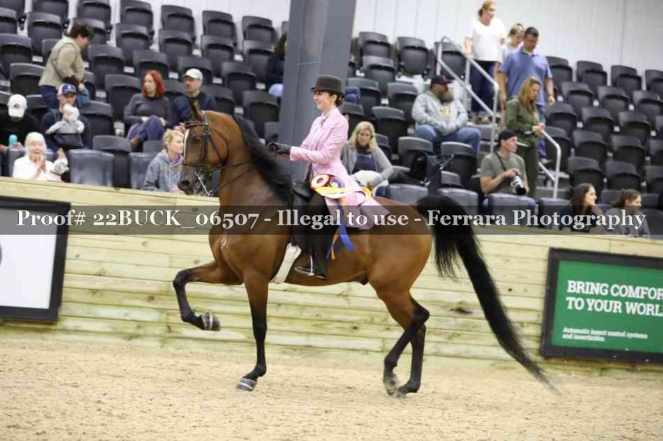 Proof 22BUCK_06507