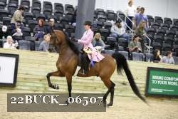22BUCK_06507 proof