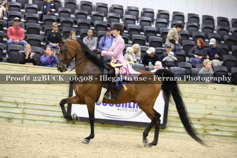 Proof 22BUCK_06508