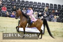 22BUCK_06508 proof
