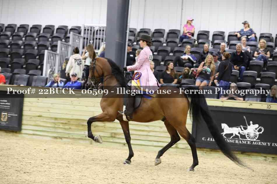 Proof 22BUCK_06509