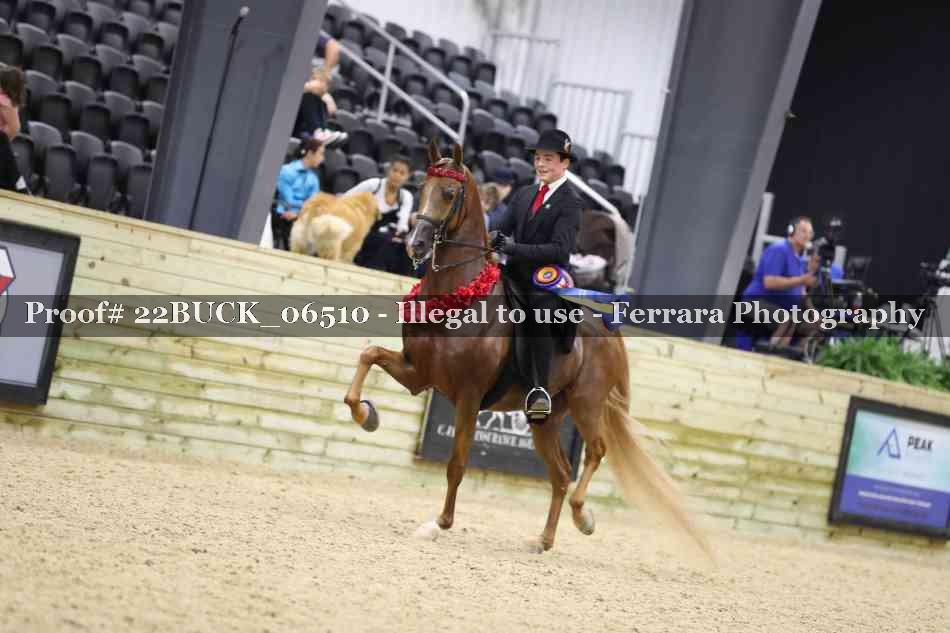 Proof 22BUCK_06510