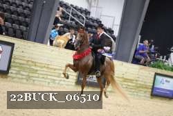 22BUCK_06510 proof