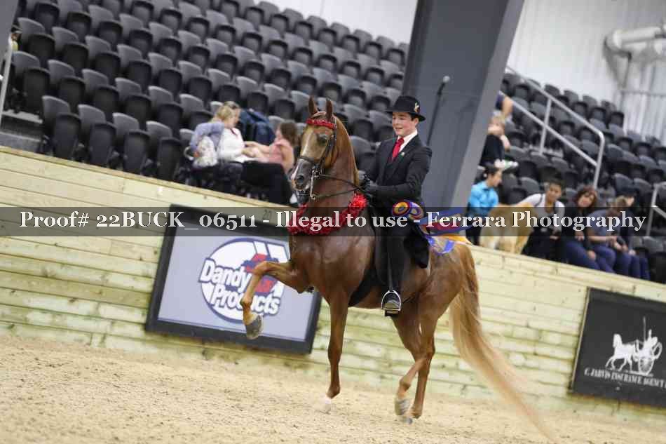 Proof 22BUCK_06511