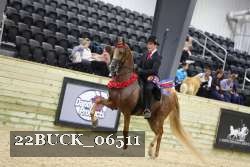 22BUCK_06511 proof