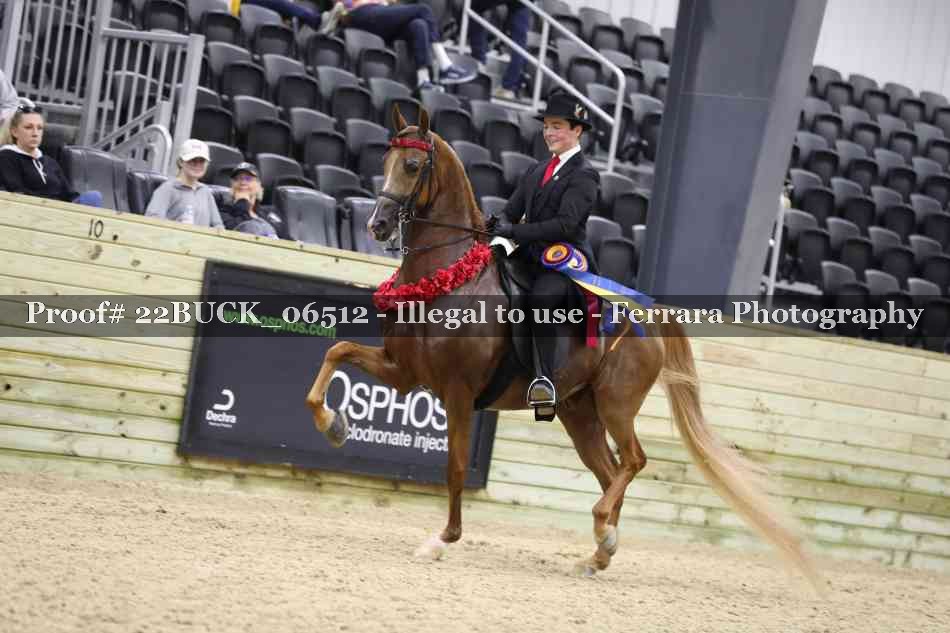 Proof 22BUCK_06512