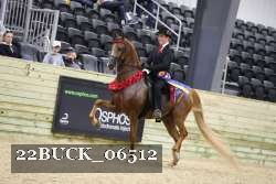 22BUCK_06512 proof