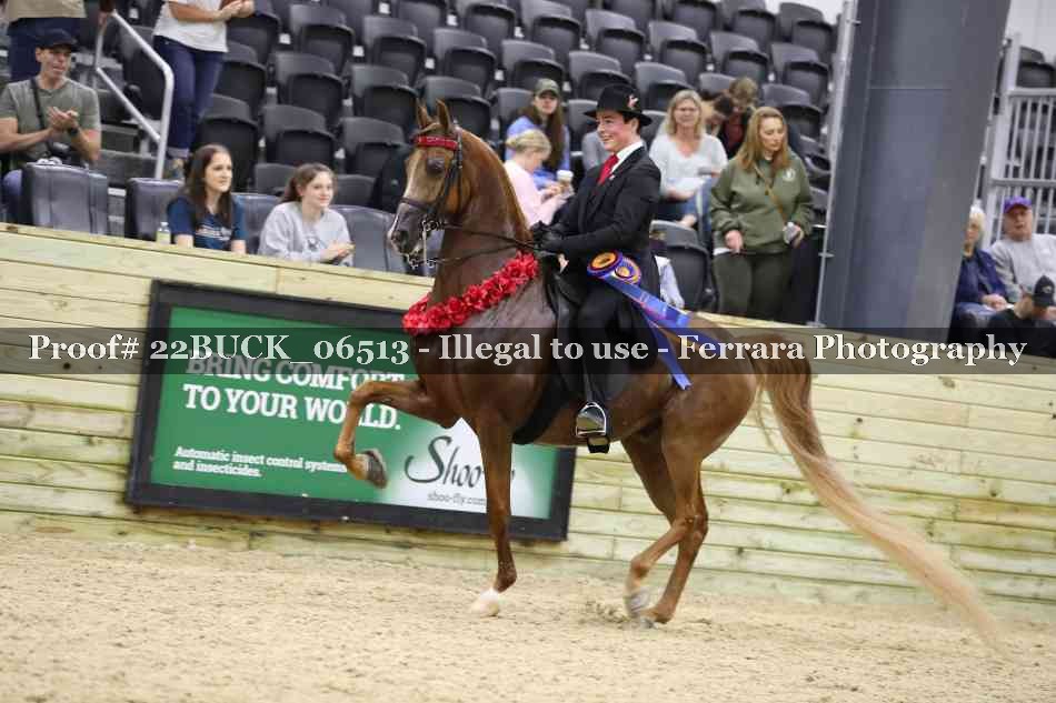 Proof 22BUCK_06513