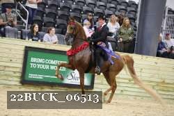 22BUCK_06513 proof