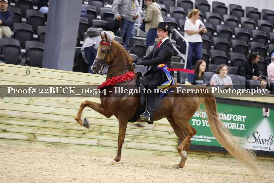 Proof 22BUCK_06514