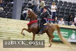 22BUCK_06514 proof
