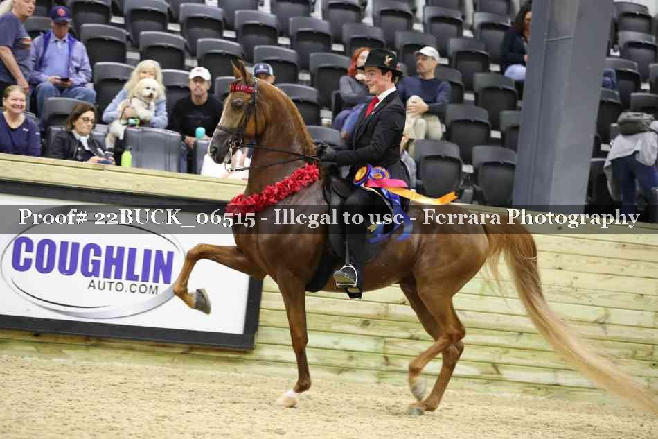 Proof 22BUCK_06515