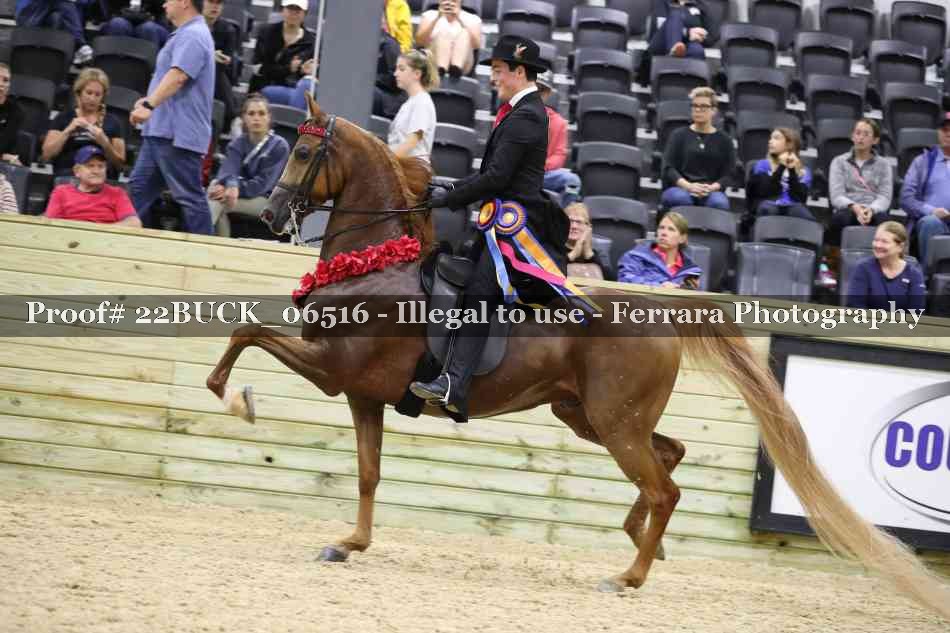 Proof 22BUCK_06516