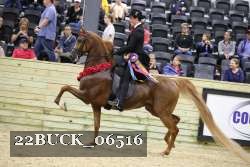 22BUCK_06516 proof
