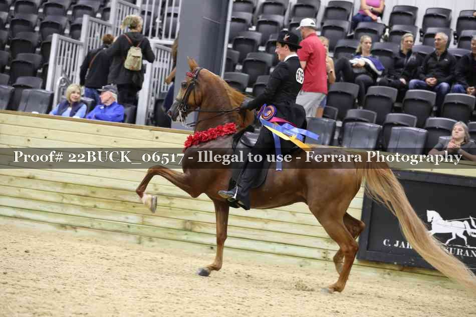Proof 22BUCK_06517