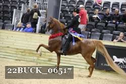 22BUCK_06517 proof