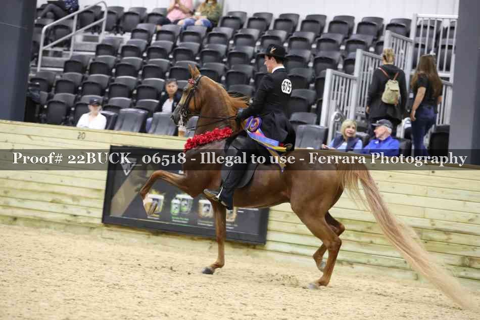 Proof 22BUCK_06518