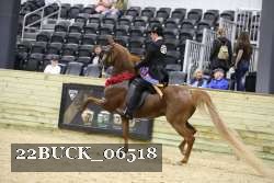 22BUCK_06518 proof
