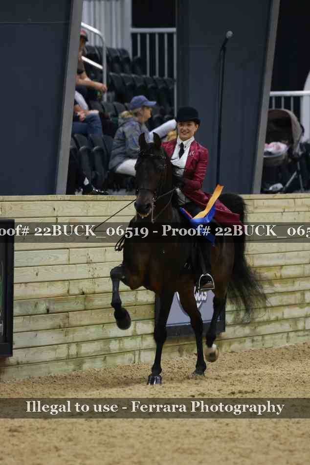 Proof 22BUCK_06519